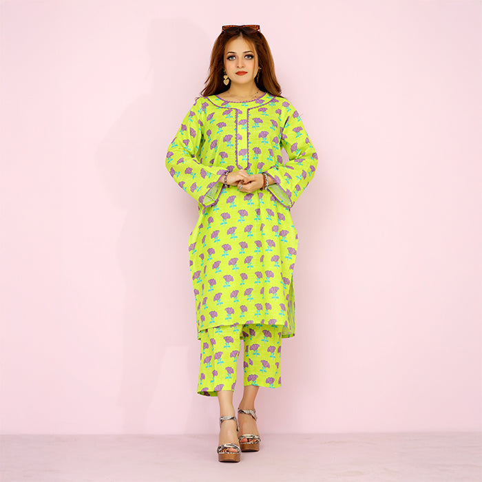 2 piece Co_Ord khaddar set